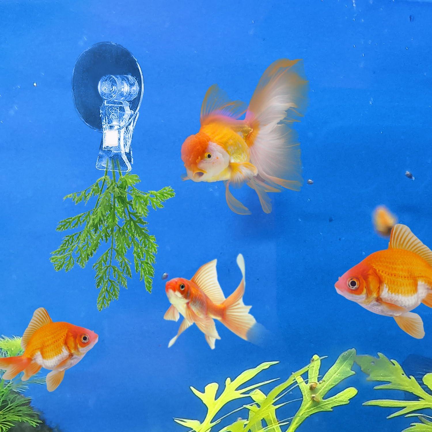 Clips de Ventosa para Acuario AccEncyc 12 Pcs Soporte de Algas