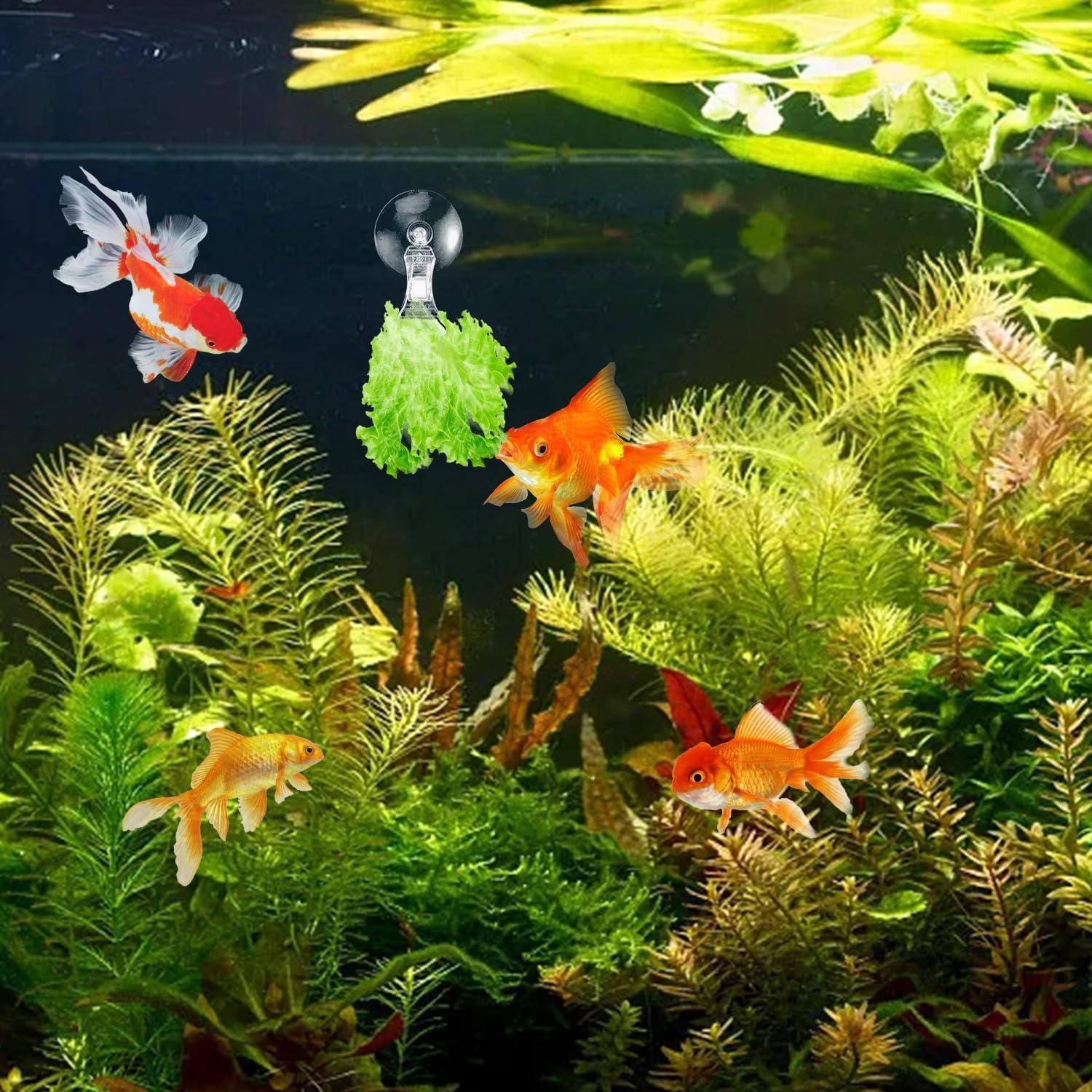 Clips de Ventosa para Acuario AccEncyc 12 Pcs Soporte de Algas