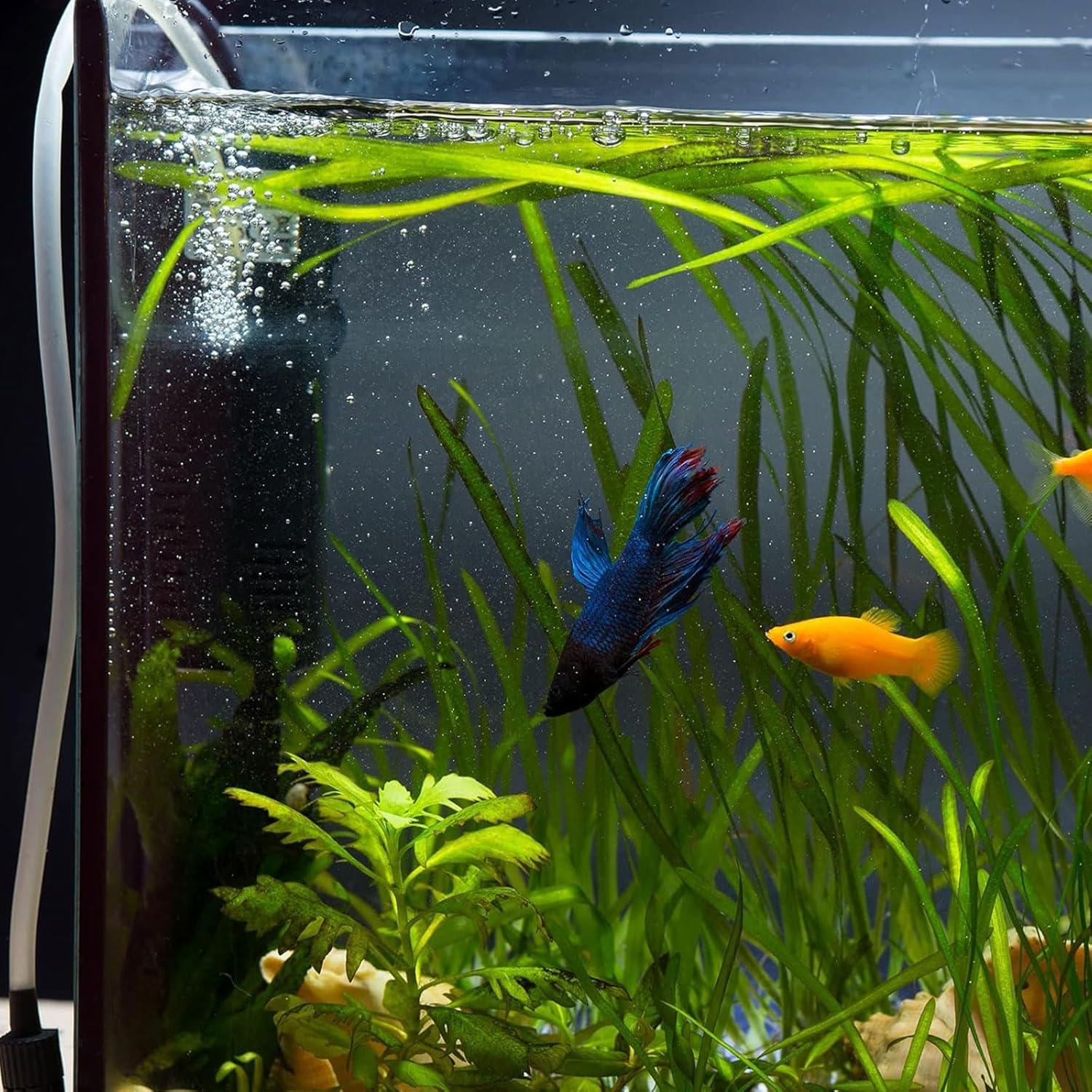 Clips de Ventosa para Acuario uxcell 20 Pcs 17 mm Transparente