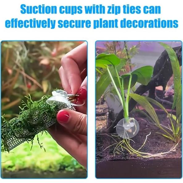 AQUANEAT 20 Ventosas para Acuario con Clips y Bridas Ajustables