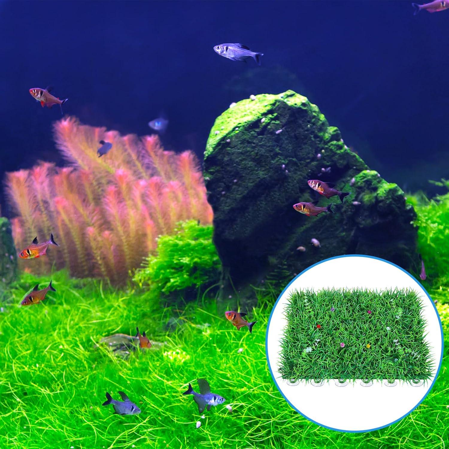 AQUANEAT 20 Ventosas para Acuario con Clips y Bridas Ajustables