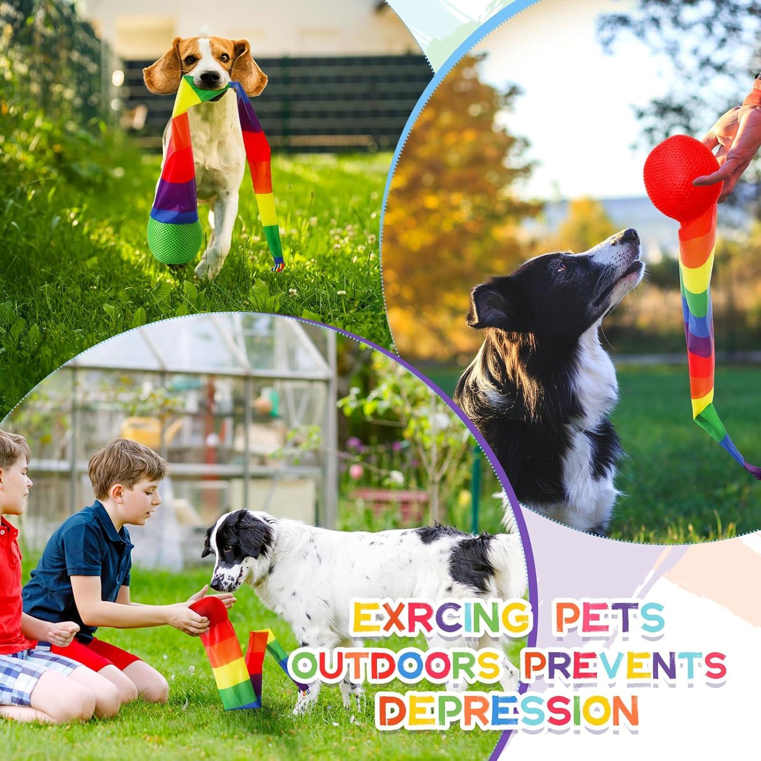 Pelotas de Lanzar y Atrapar Leyndo 8 Pcs 65 cm Coloridas