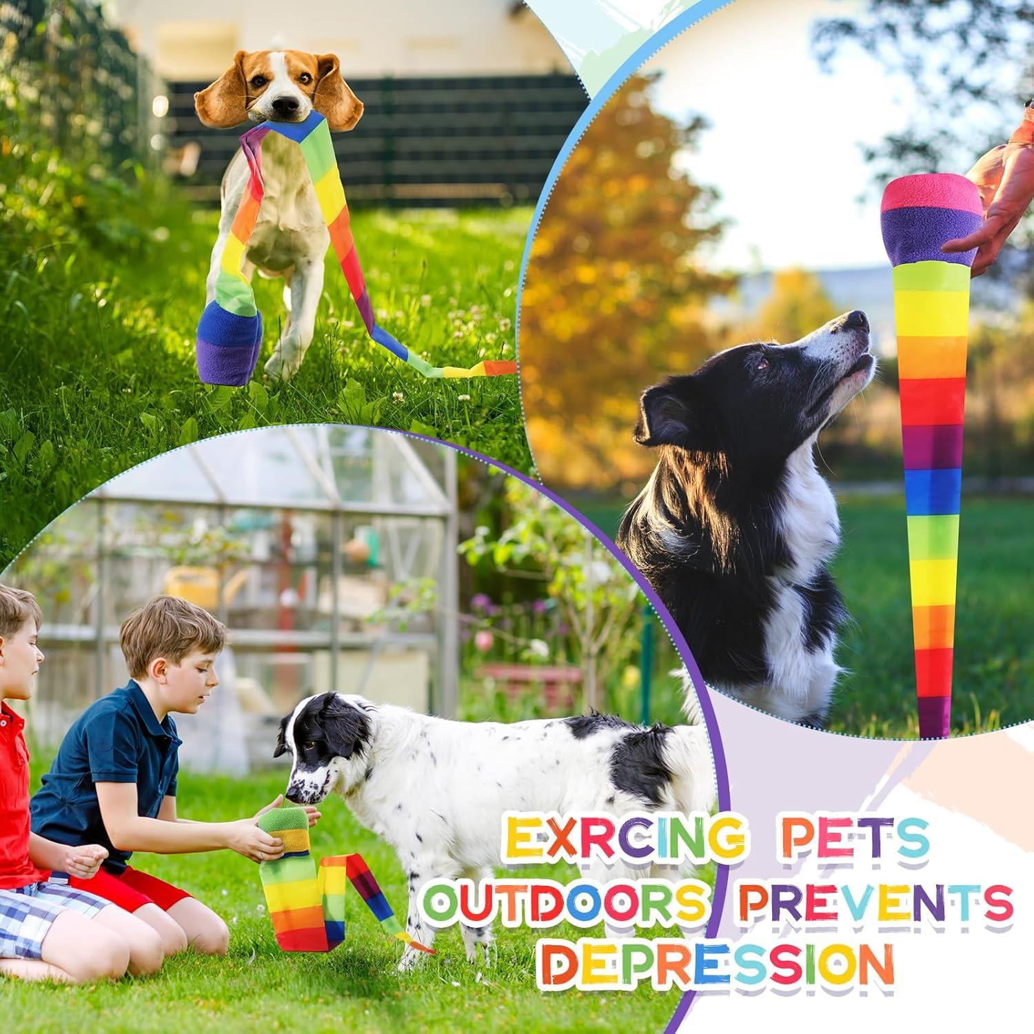 Pelotas de Lanzar y Atrapar Leyndo 8 Pcs Coloridas 65 cm