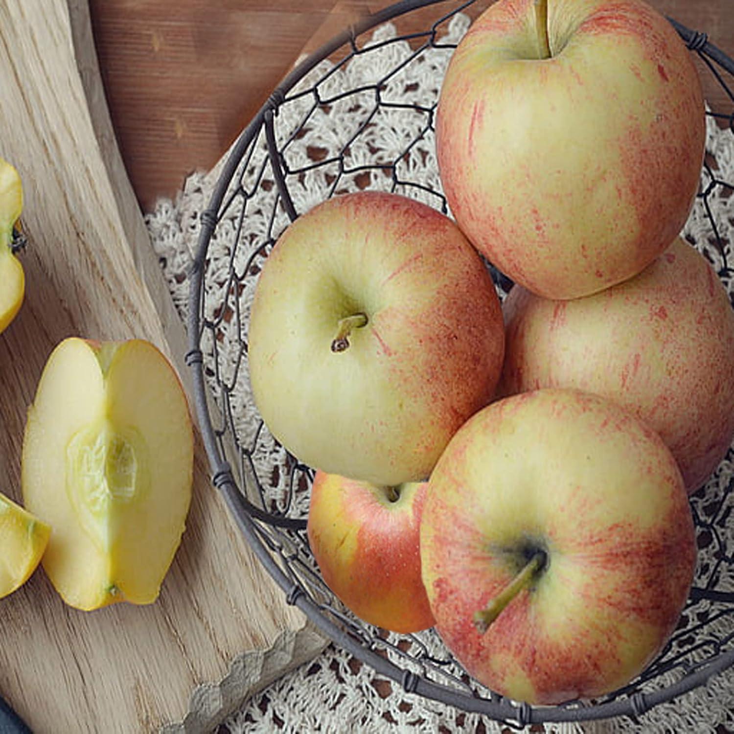 Cesta de Alambre para Huevos TAIANLE Vintage 17.8 cm