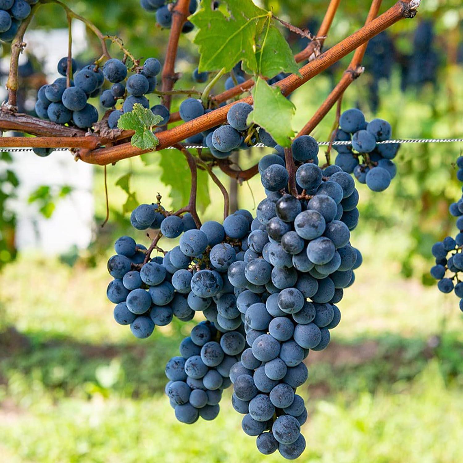 Cable de Alambre Trenzado Yarlung 1/16" x 152.4m Acero Inoxidable