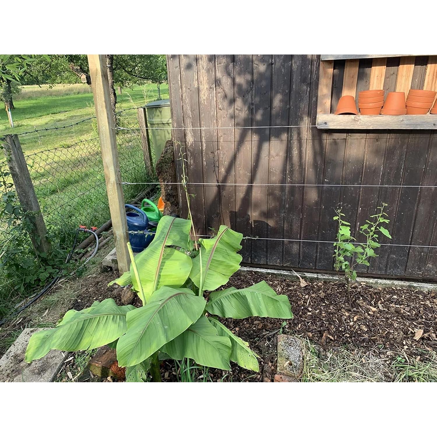 Kit de Cable de Acero Inoxidable 3mm TooTaci 50m con Accesorios