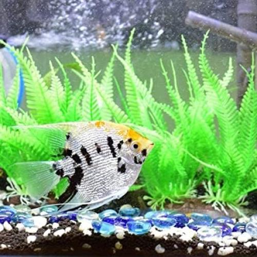 100 Gemas de Vidrio Meschett para Decoración Artística