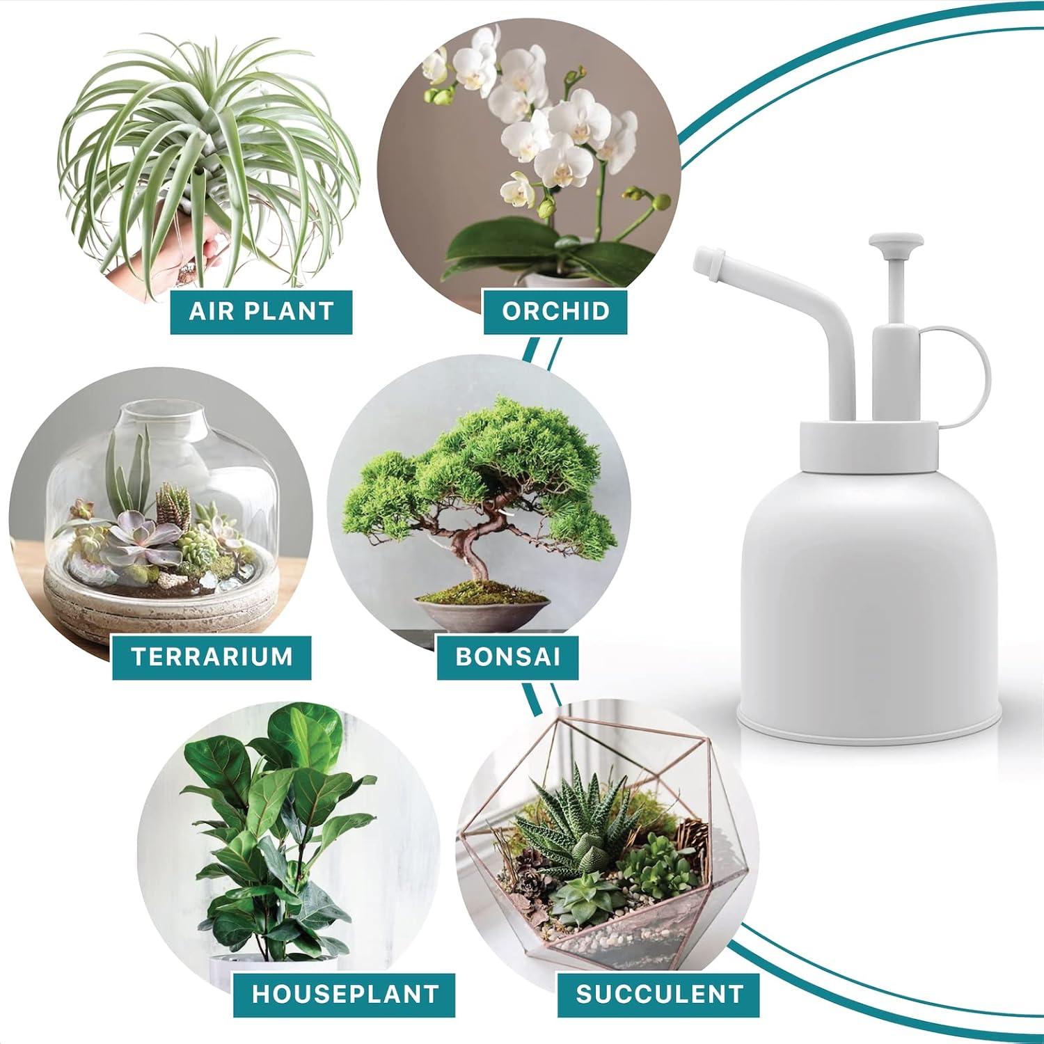 Botella Spray Acero Inoxidable LOOPSEED 300ml para Plantas