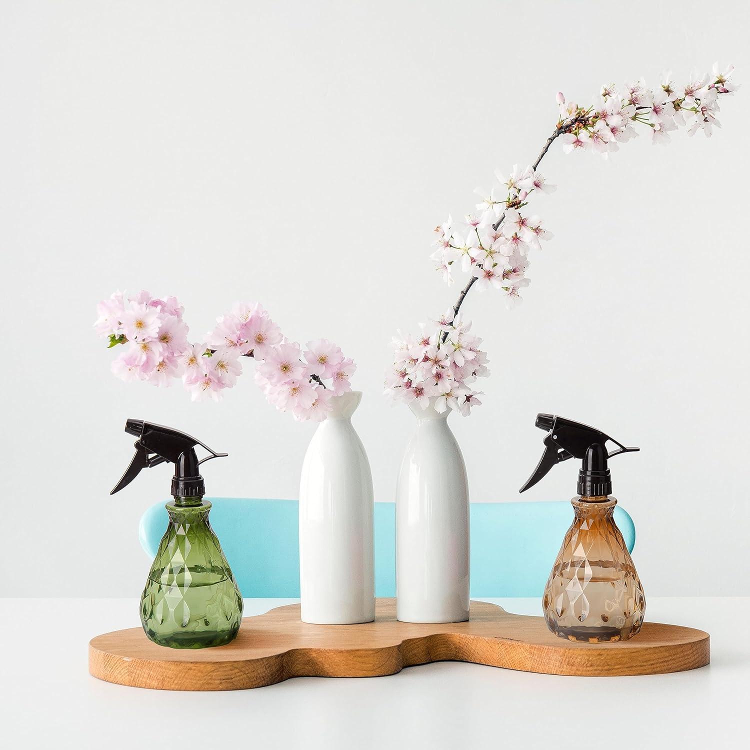 2 Botellas de Spray Reutilizables 500 ml Wugongshan Ajustables