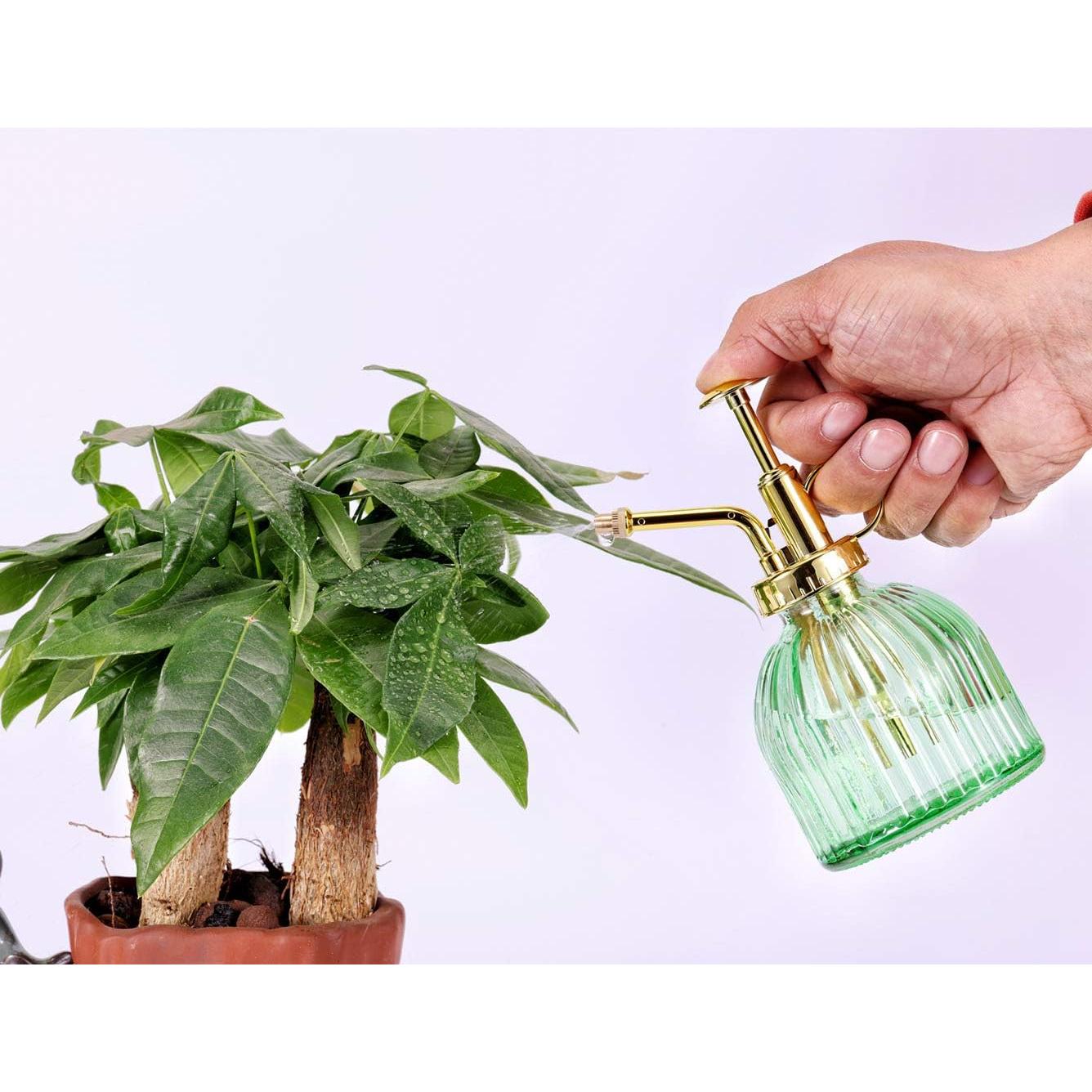 Botella de Spray para Plantas Aebor de Vidrio Verde 207 ml