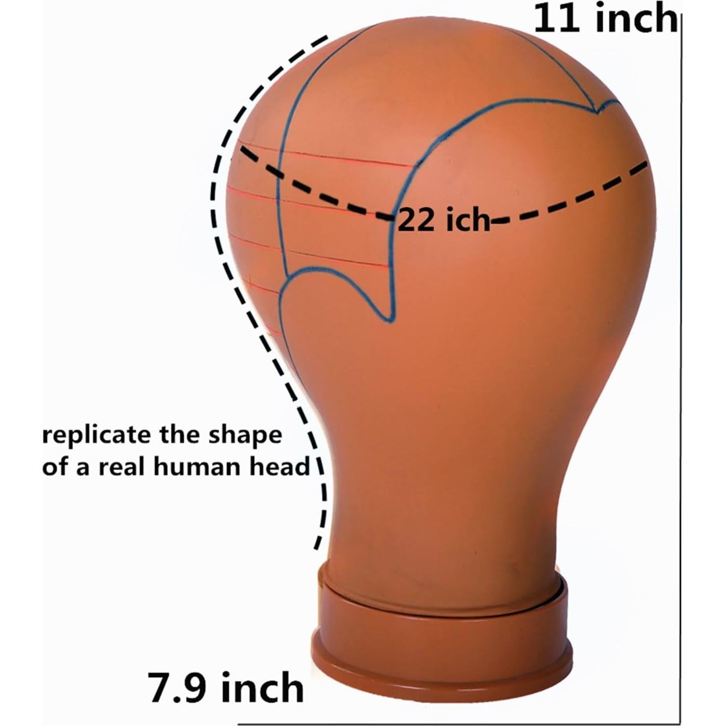 Cabeza de Maniquí para Pelucas COMMGOAL 22" Pre-Marcada