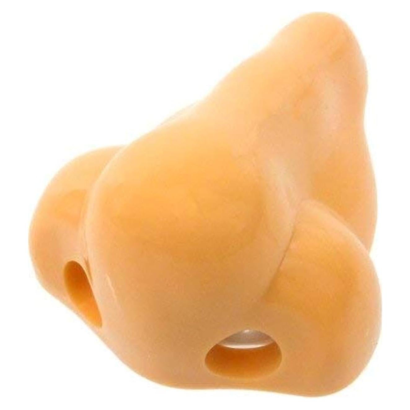 Sacapuntas en Forma de Nariz Rhode Island Novelty - 12 Piezas