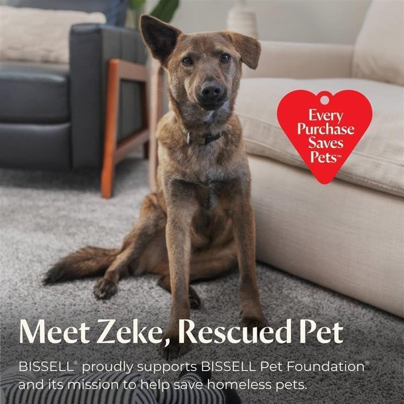 Limpiador de vapor BISSELL Steam Shot Omni 1000W de mano