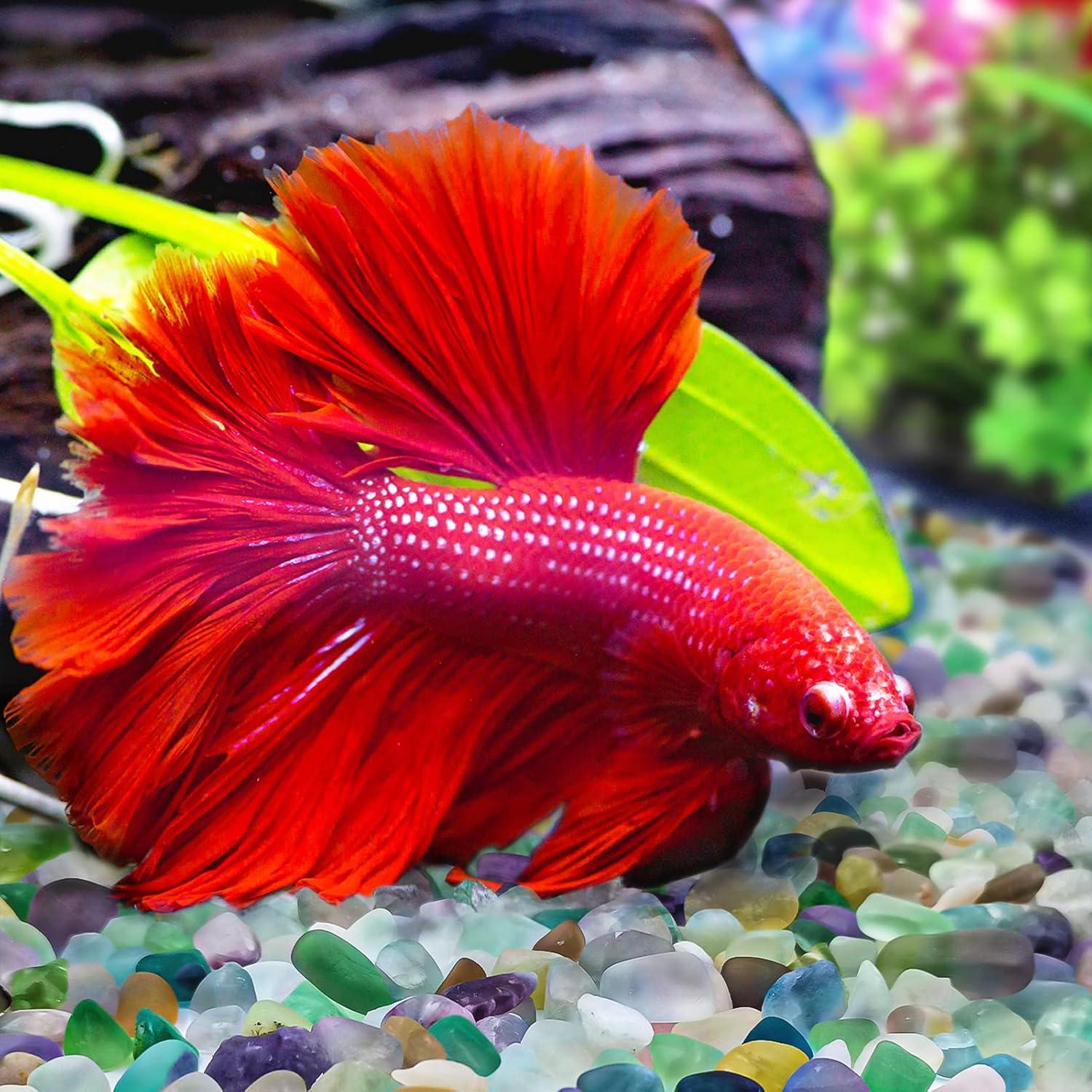 Keedolla Chips de Fluorita Pulidos 1.43 kg para Acuarios