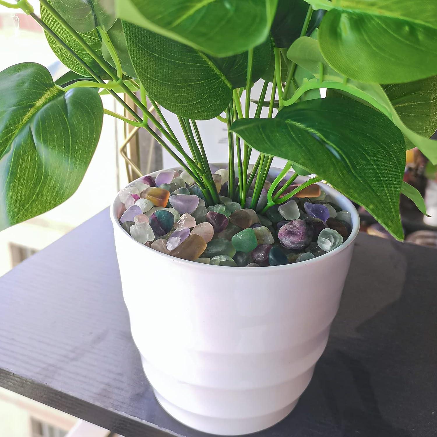 Keedolla Chips de Fluorita Pulidos 1.43 kg para Acuarios