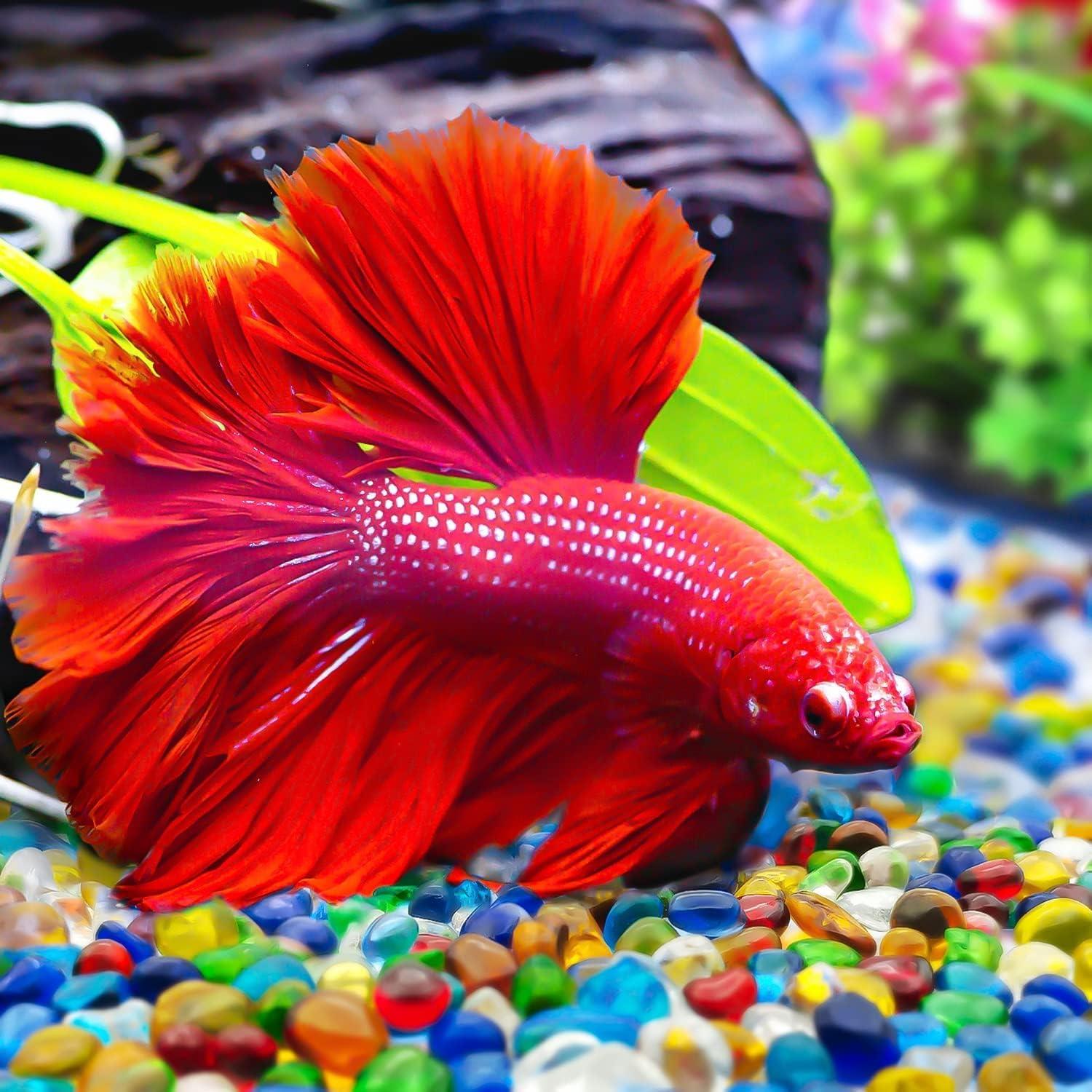 Grava de Acuario Keedolla 1.43 kg Arcoíris Decorativa