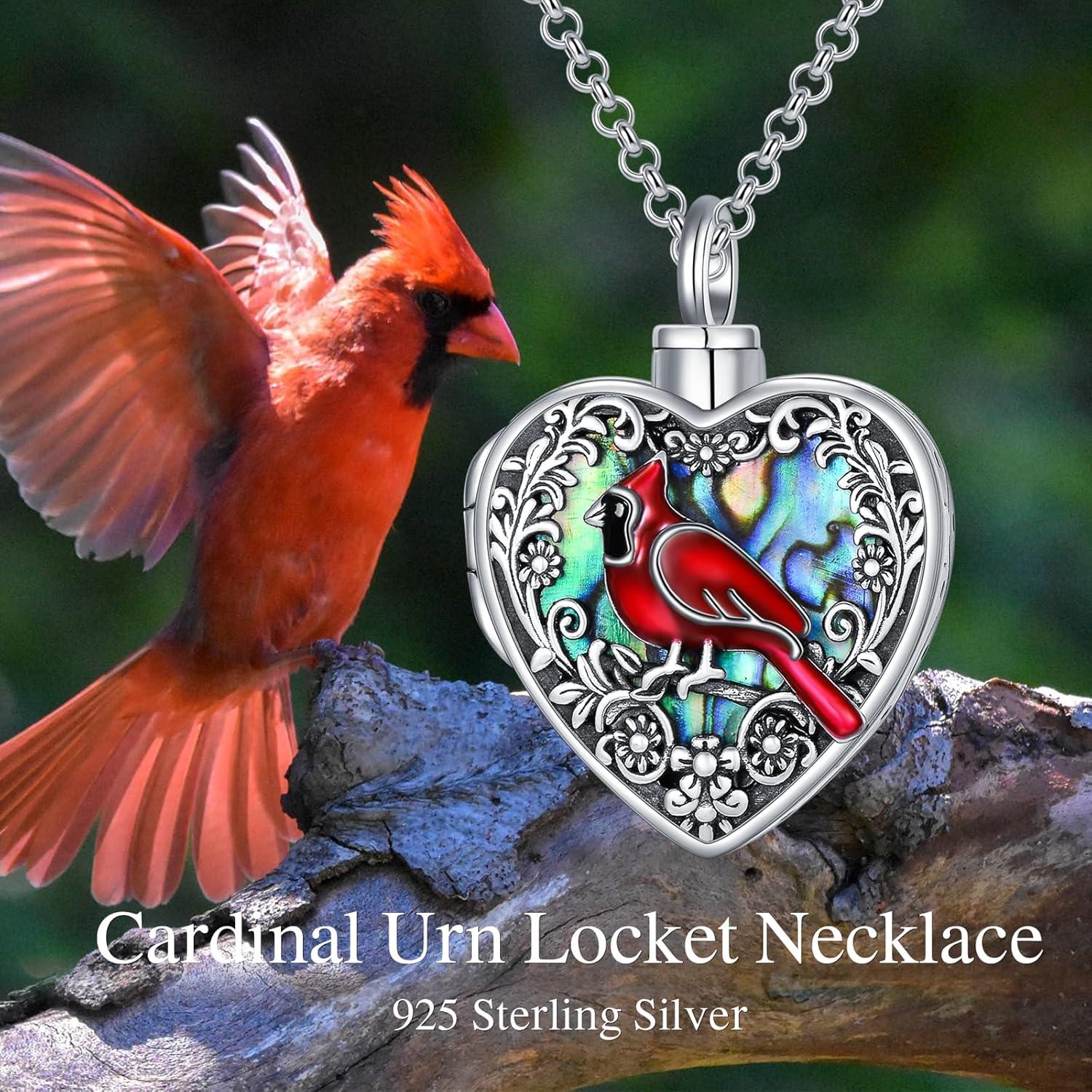 Collar Locket de Corazón para Cenizas y Fotos MEIDERBO Plata 925