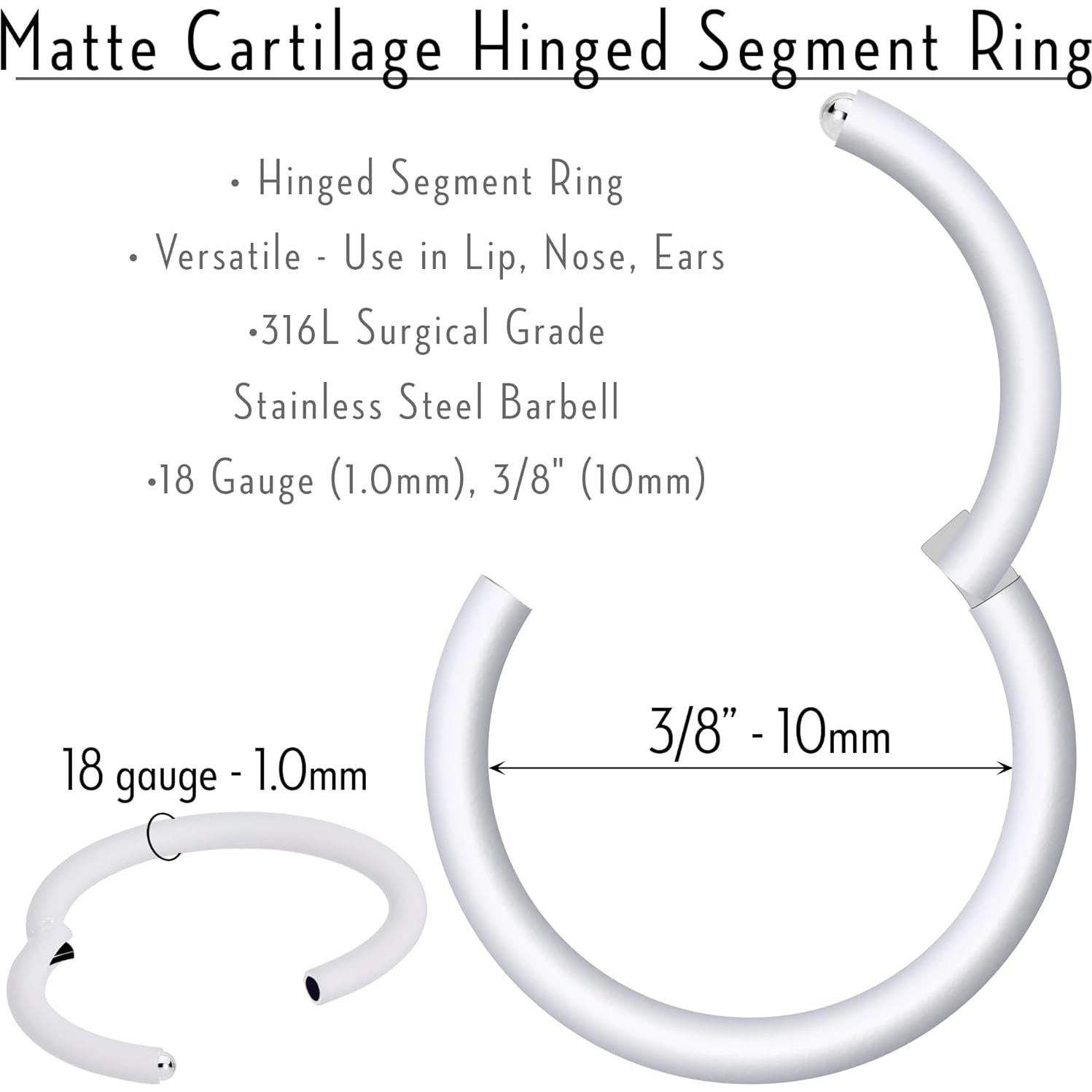 Anillo Segmentado Body Candy 18g Acero Quirúrgico 10mm