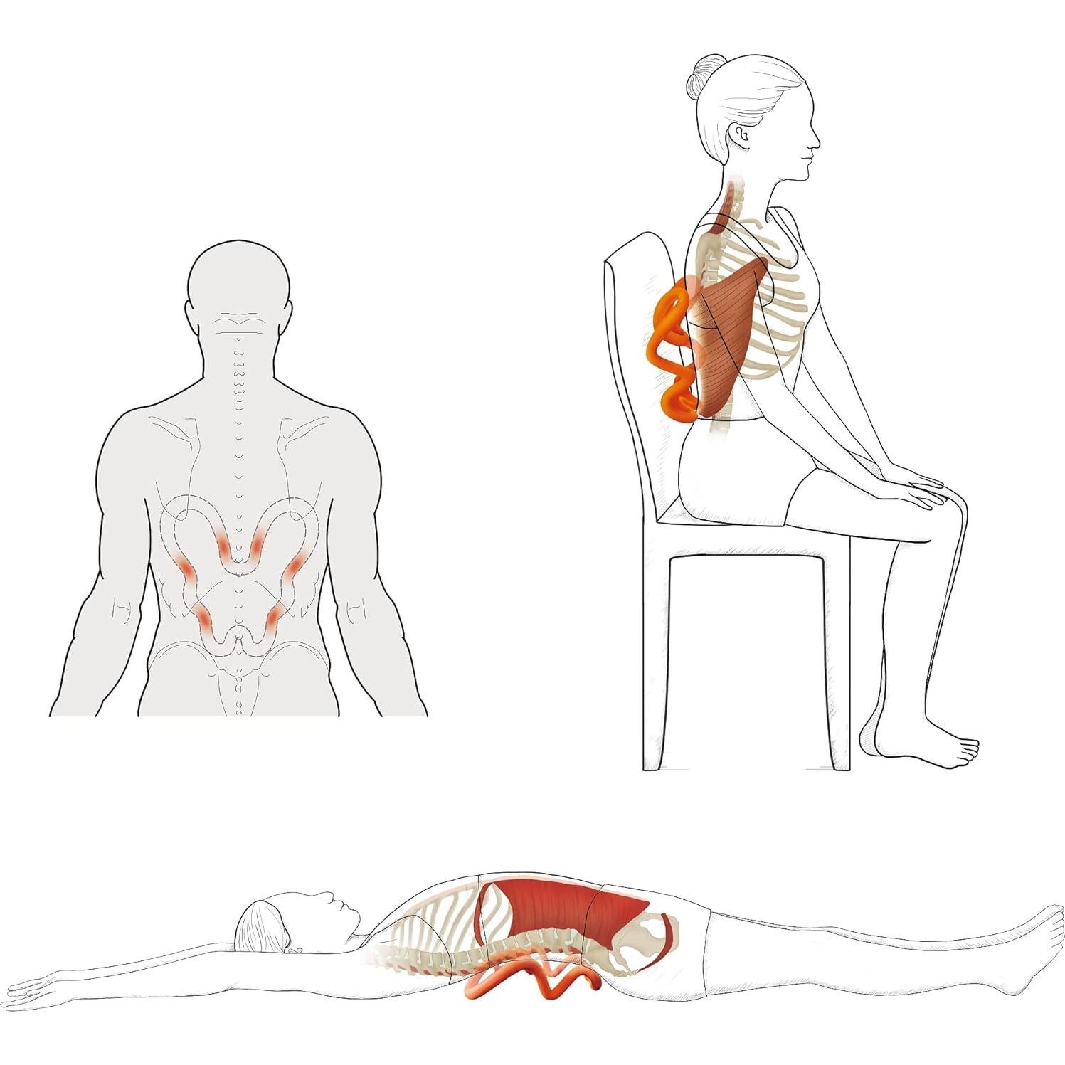 Masajeador de Tejido Profundo LittleMum DT-01 para Hombros