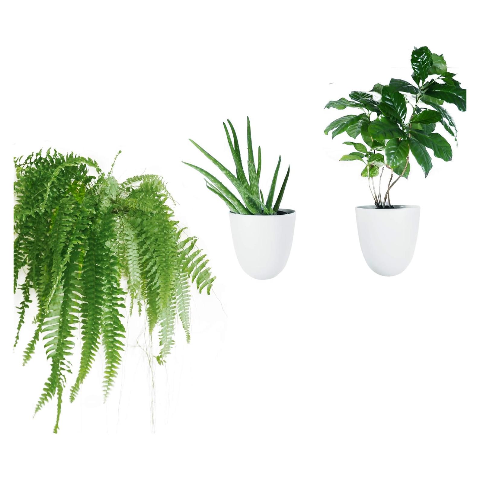 Macetas de Pared Autorriego Make Good - Juego de 3 Blancas