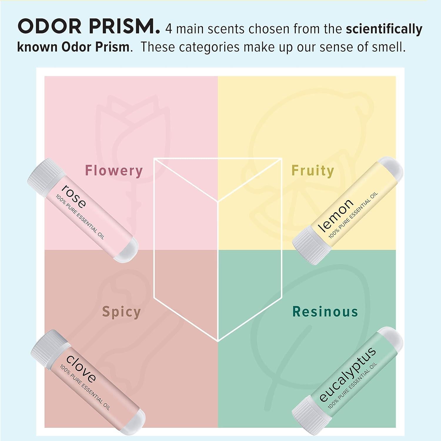 Kit de Entrenamiento de Olores MOXĒ - 4 Aceites Esenciales Fase 1