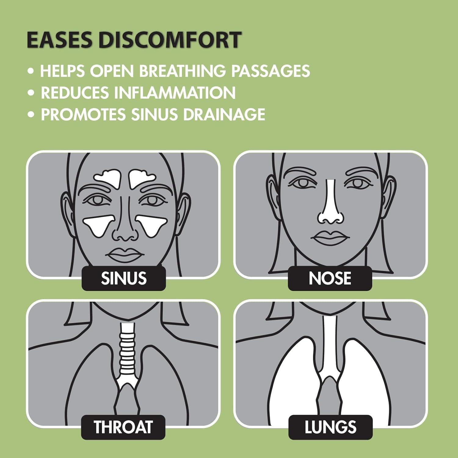 Inhalador de Vapor Respiratorio Steam Great Shentung 1 Cuenta