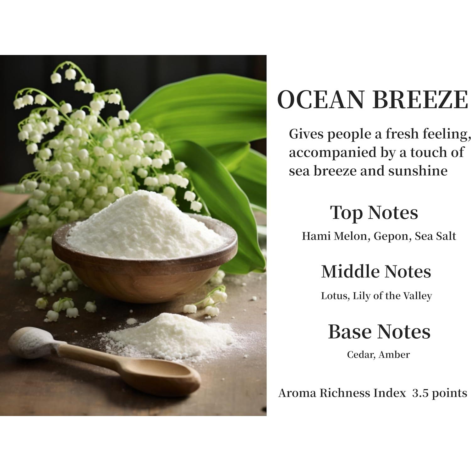 Juego de Ambientadores DEGUI para Automóvil Brisa Oceánica 2 Piezas