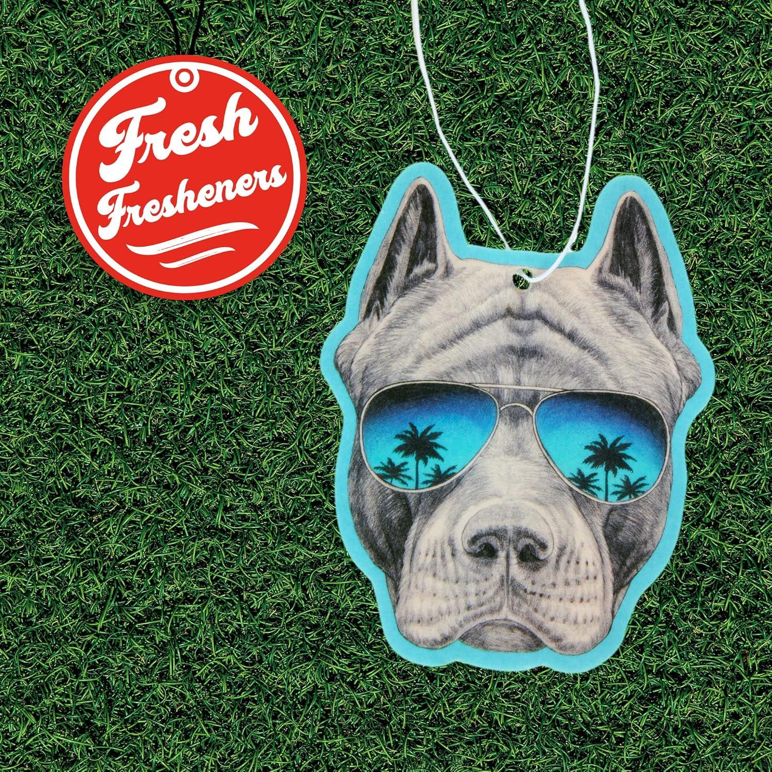 Ambientador de coche Fresh Fresheners - 3 paquetes aroma natural