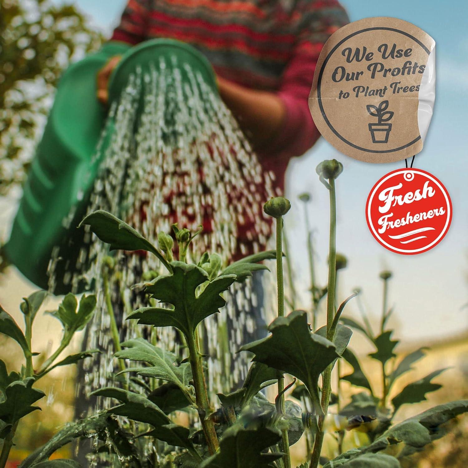 Ambientador de coche Fresh Fresheners - 3 paquetes aroma natural