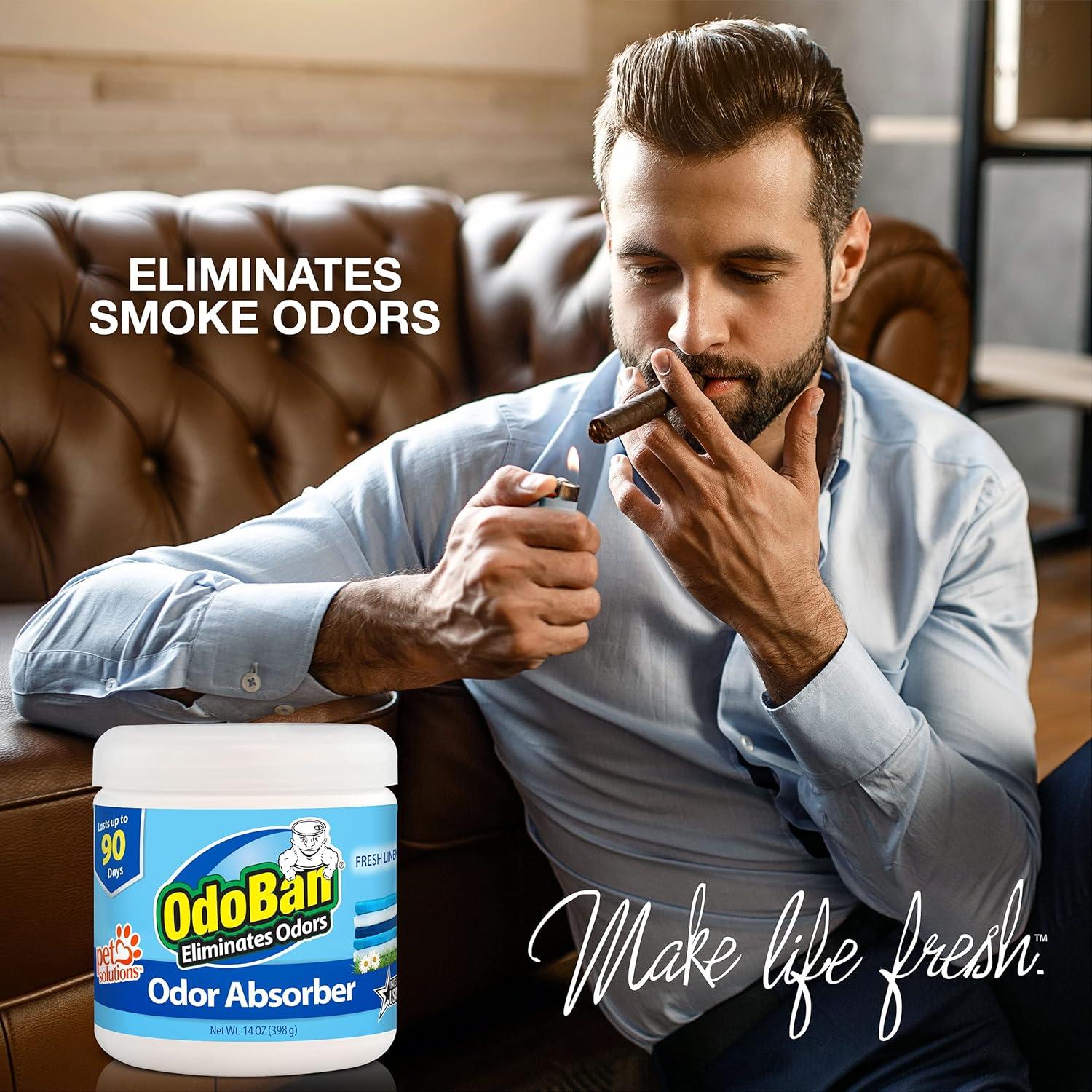 OdoBan Desinfectante y Ambientador Pack de 2 - 414g y 396g