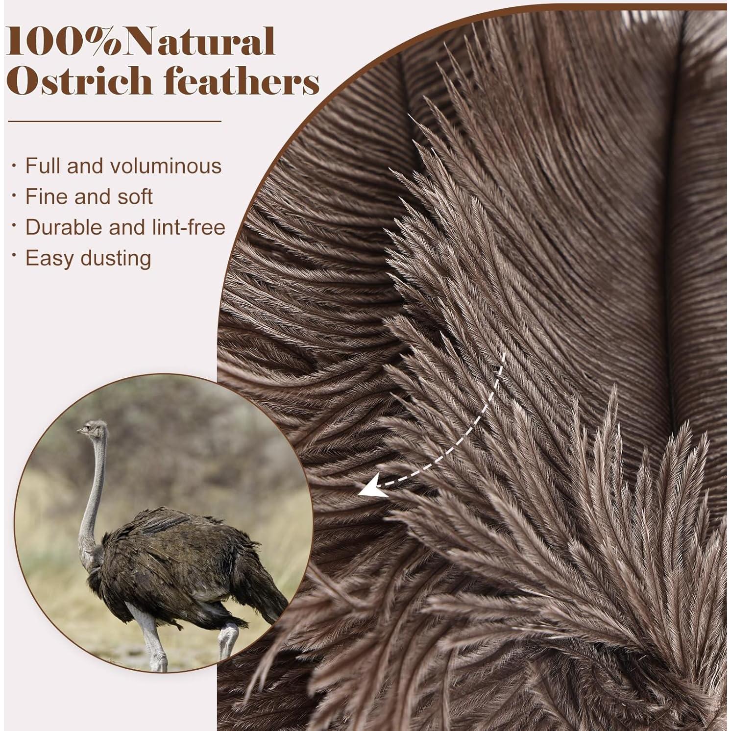 Plumero de Avestruz Daieeparty 37.8 cm Natural 1 pieza