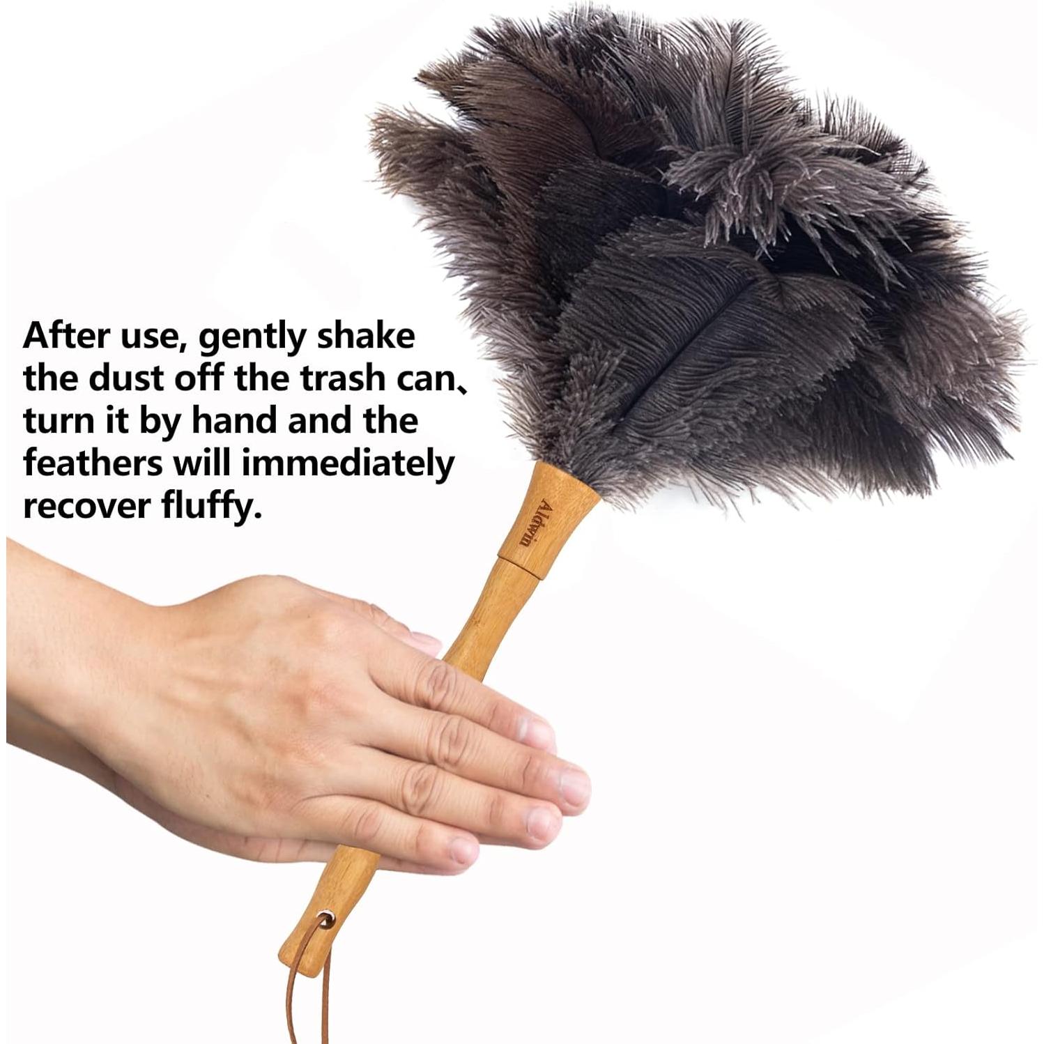 Duster de Plumas de Avestruz Aldwin 40.64 cm Mango de Madera