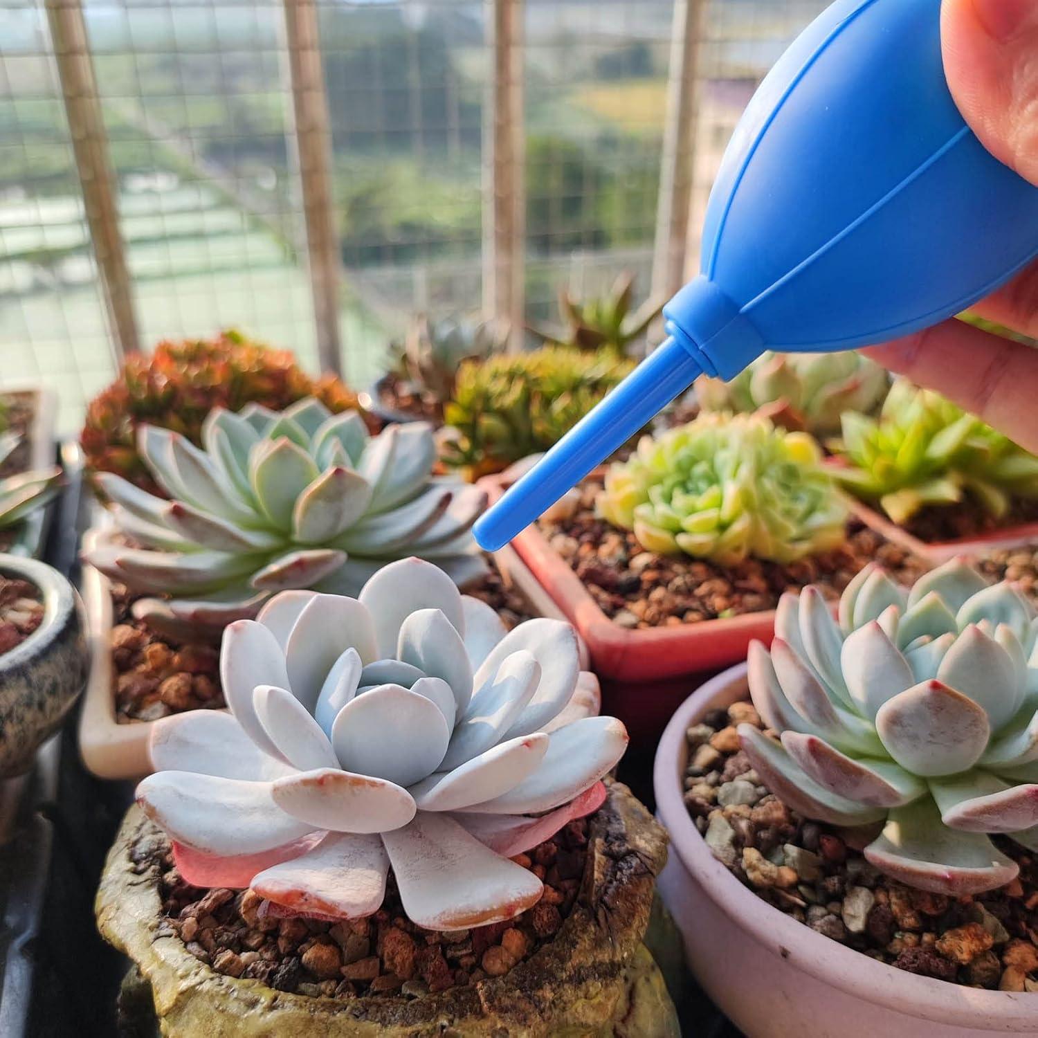 Soplador de Aire Manual Medsuo 2pcs con Cepillo Suave