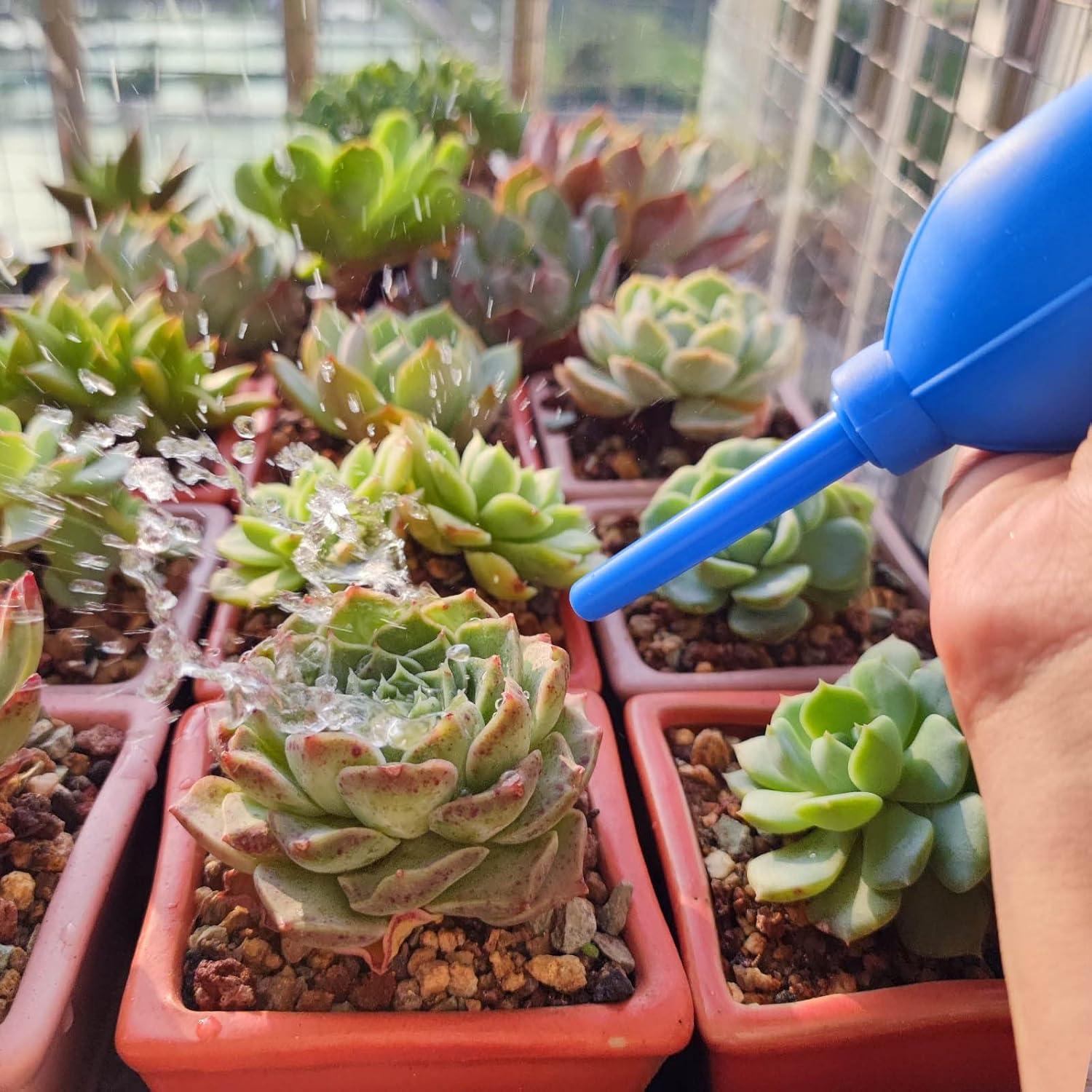 Soplador de Aire Manual Medsuo 2pcs con Cepillo Suave