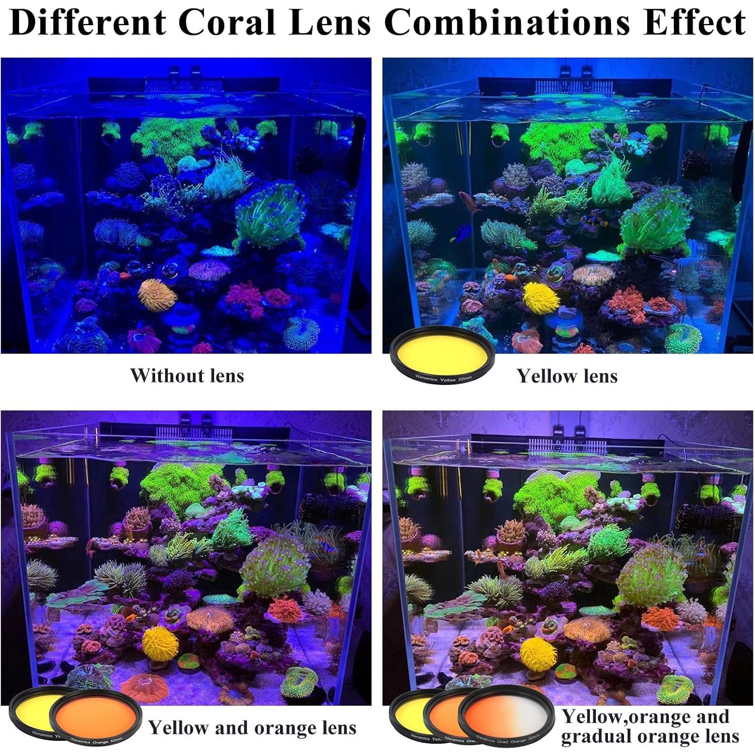 Kit de Lentes de Filtro Coral para Teléfono Weramics - 8 Piezas
