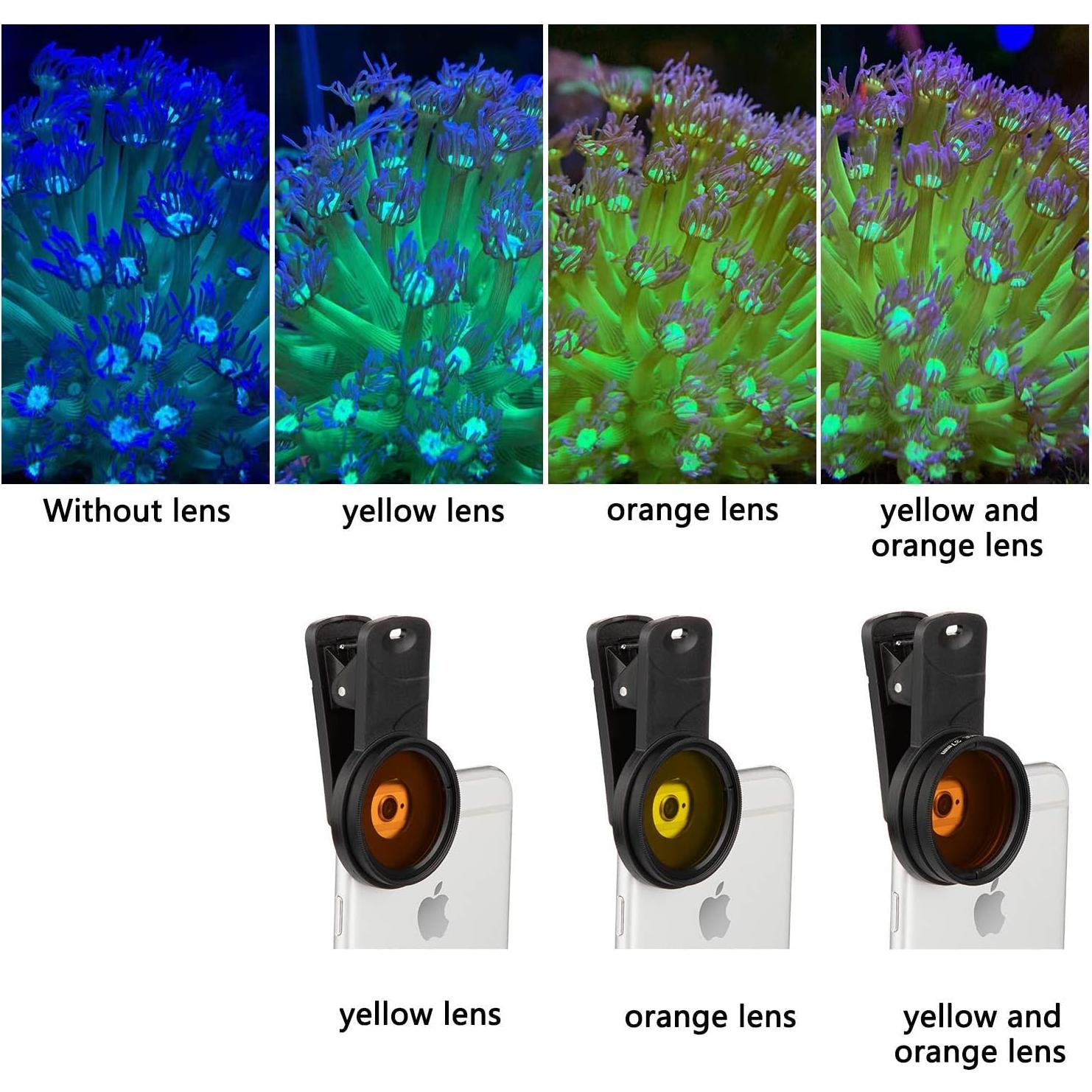 Kits de Lentes de Coral Reef NestEcho - 8 Lentes + Funda