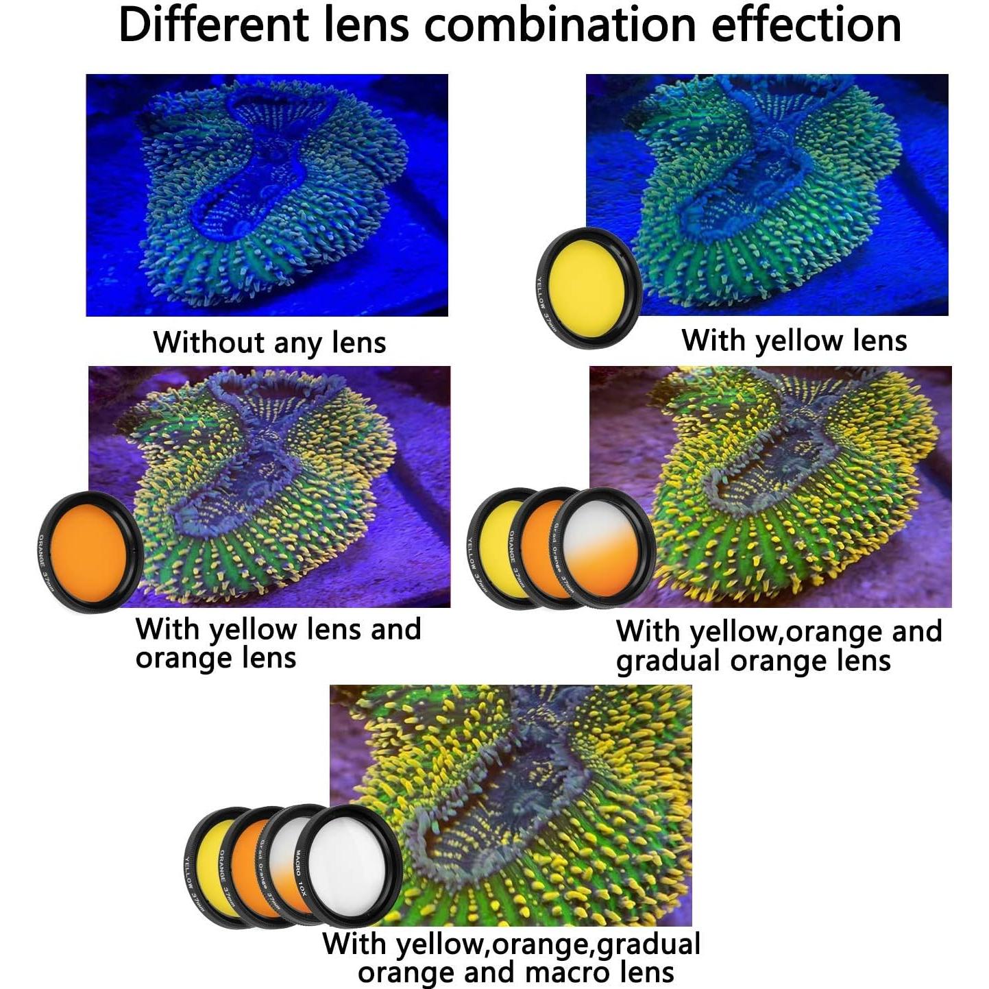 Kits de Lentes de Coral Reef NestEcho - 8 Lentes + Funda