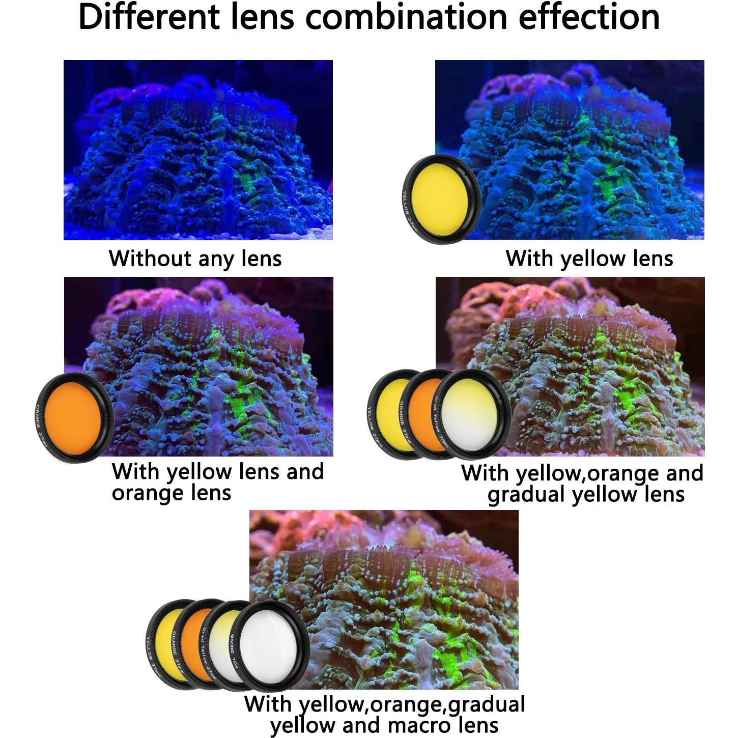 Kits de Lentes de Coral Reef NestEcho - 8 Lentes + Funda