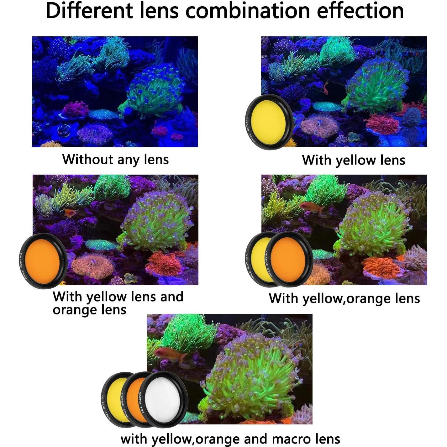 Kits de Lentes de Coral Reef NestEcho - 8 Lentes + Funda