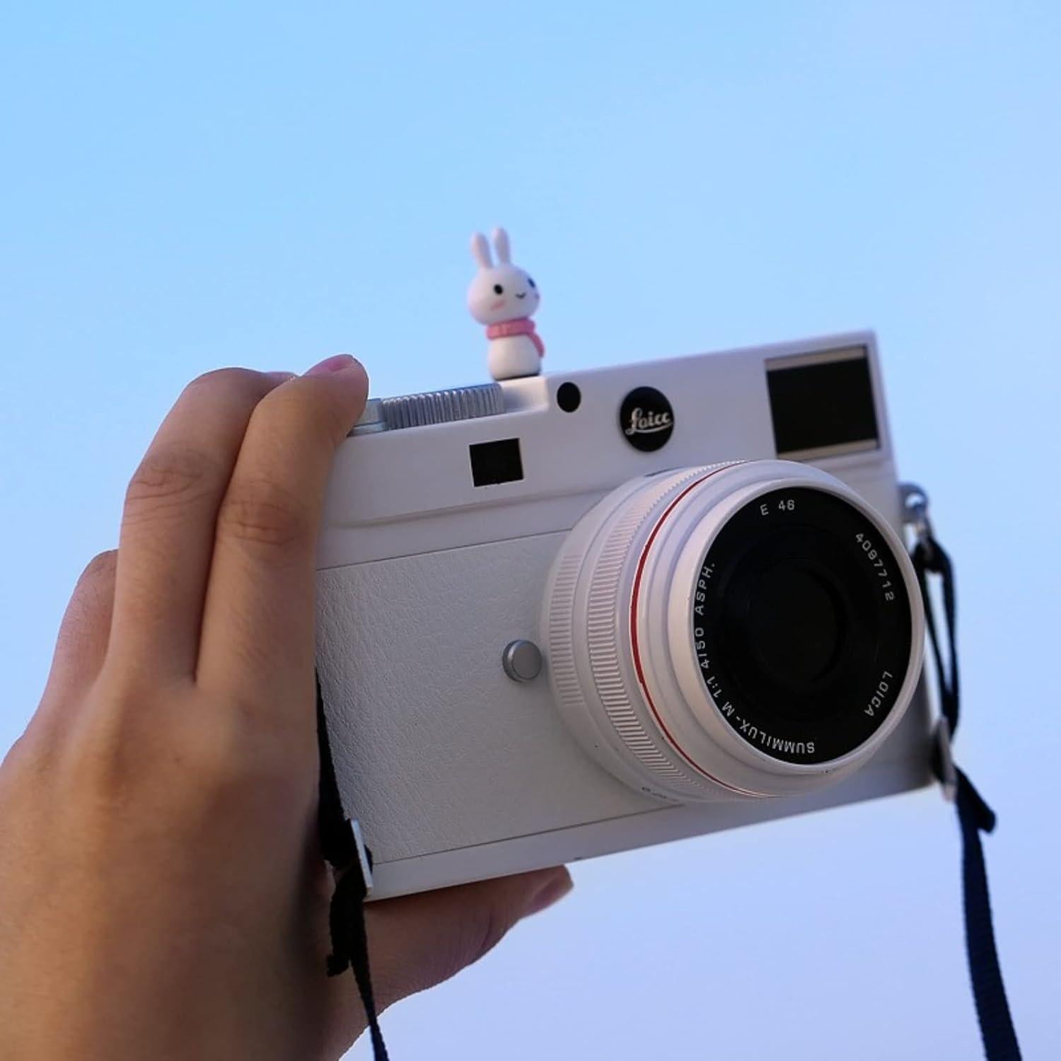 Super Cute Camera Hot Boots, Suitable for Leica, Pentax, Olympus, Sony, Fuji, Nikon, Panasonic, Canon and Other SLR Cameras and Micro Single Cameras, Suitable for Rangefinder Camera (Rabbit)