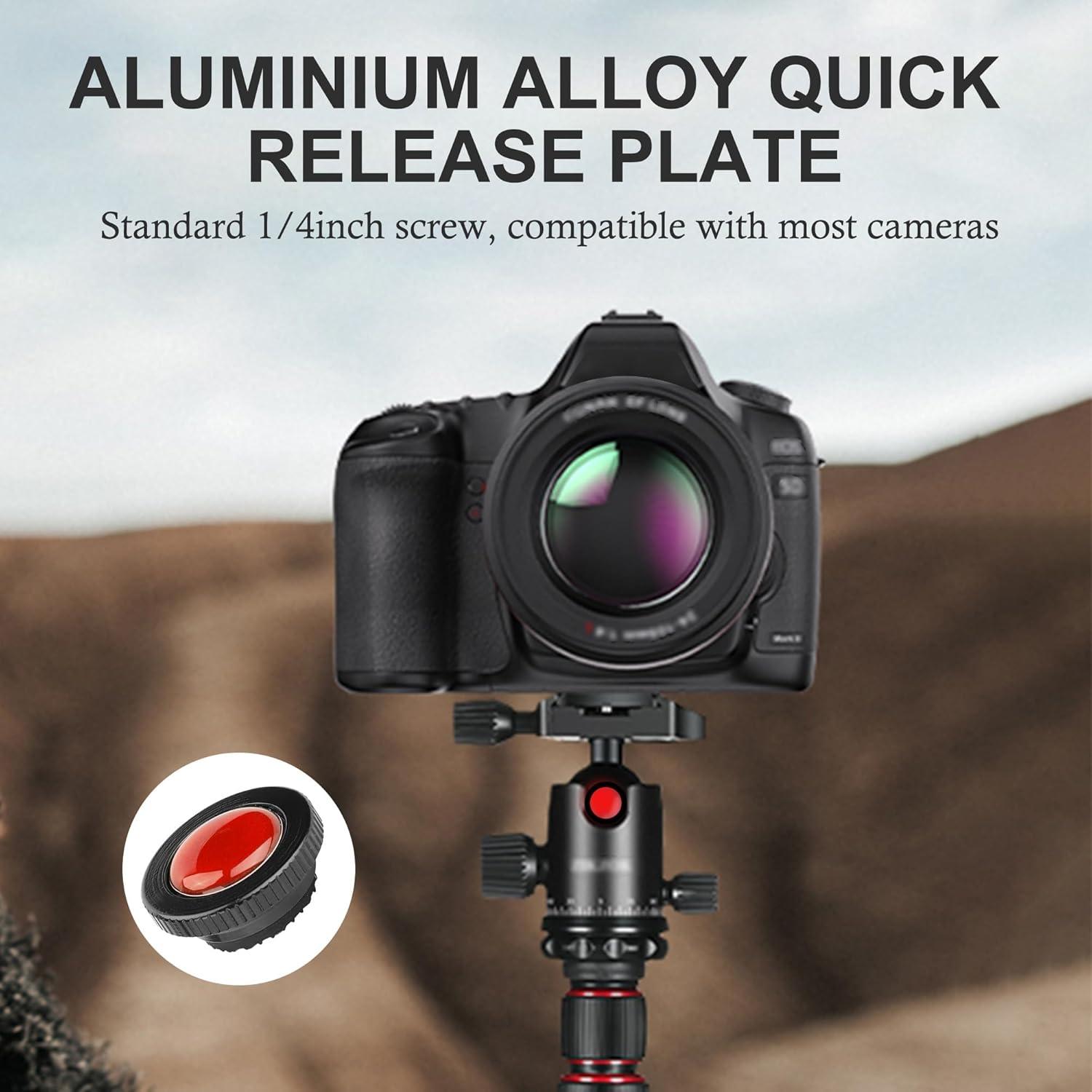 Placa de liberación rápida Acouto Mini Aluminio 2 cm para trípode