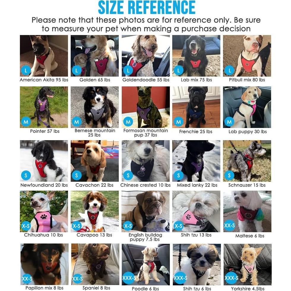 Arnés de Seguridad para Perros SlowTon Ajustable Negro XXXS