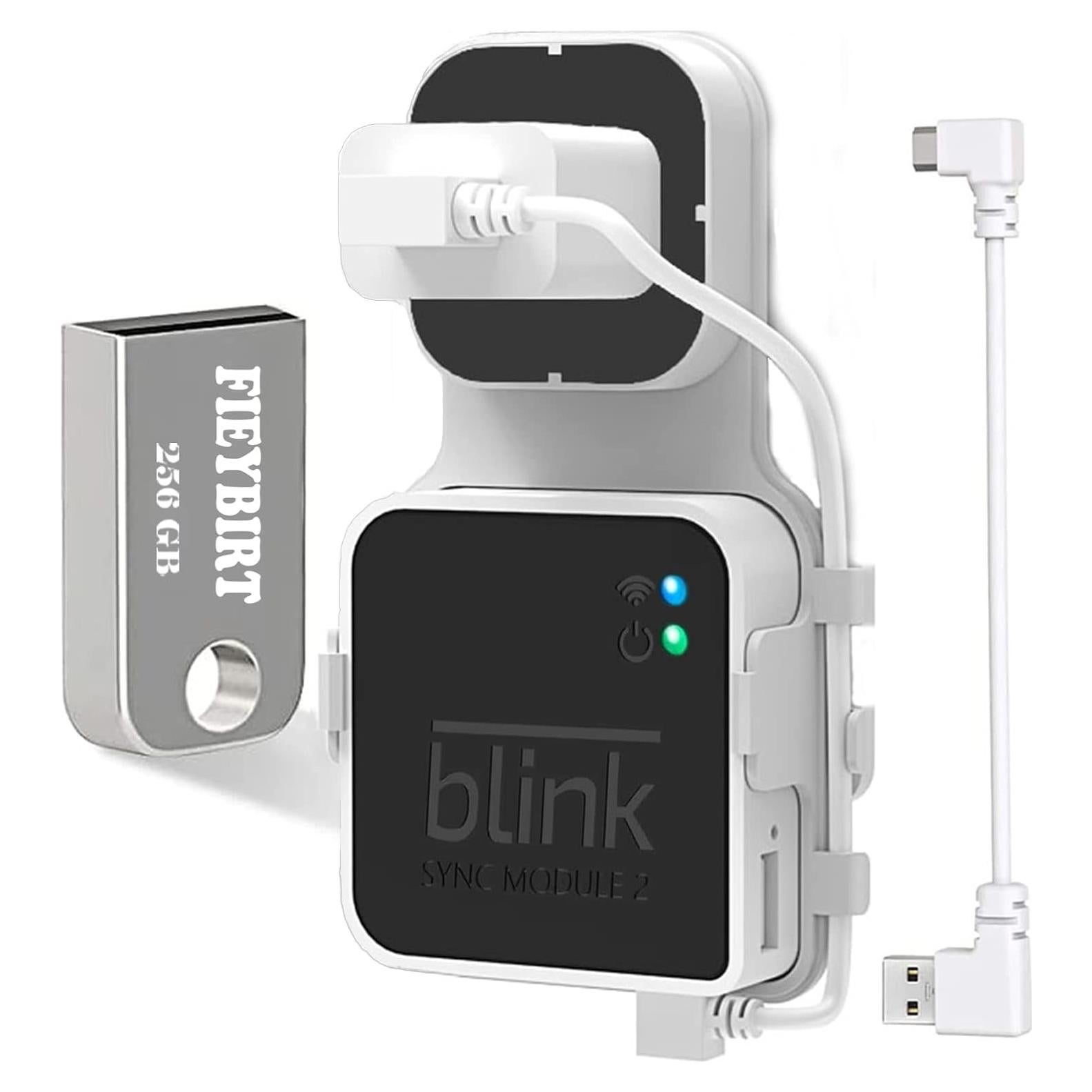 Unidad Flash USB Fieybirt 256GB para Módulo Blink 2