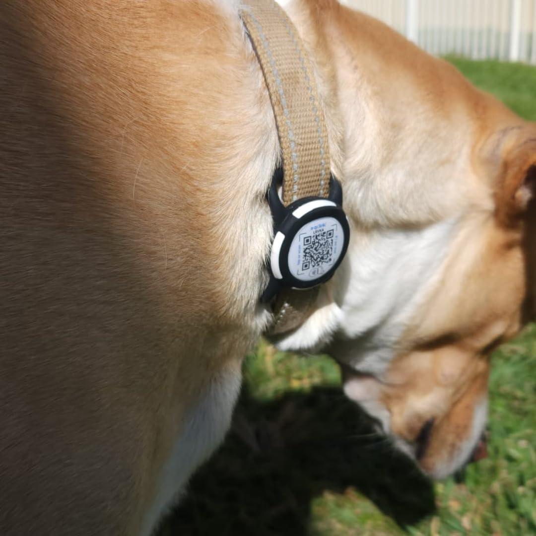 Identificador de Mascota NFC QRLynk - Collar Silencioso Negro