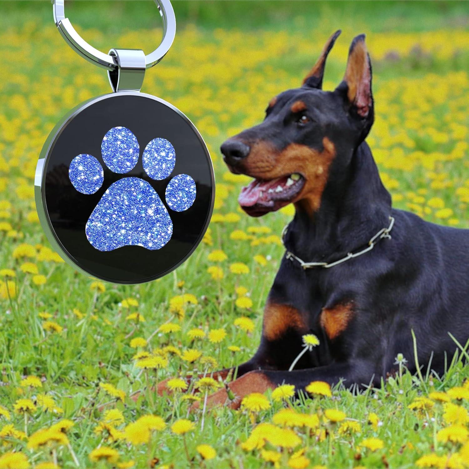 Etiqueta QR para perros KEKID personalizada 3.2 cm azul