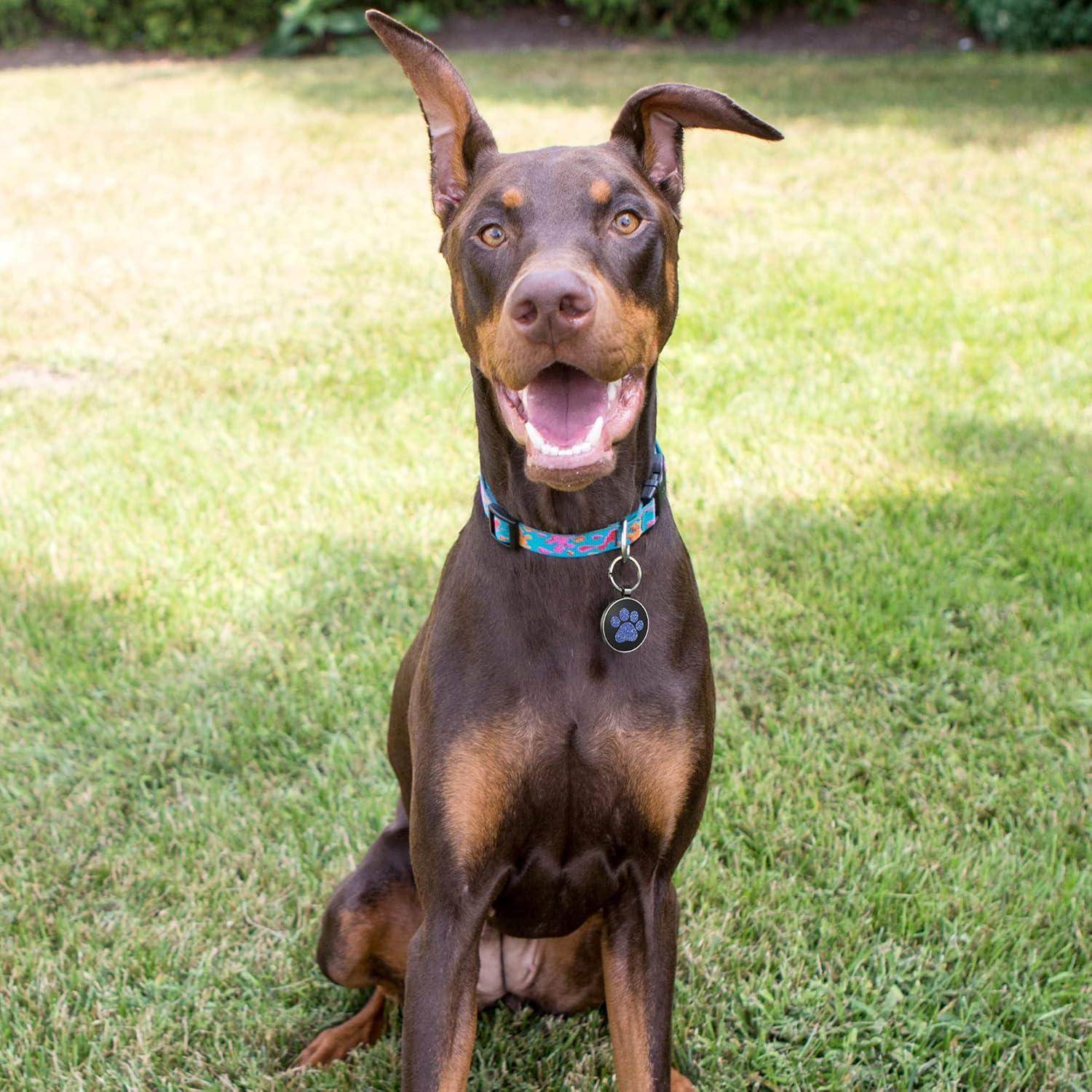 Etiqueta QR para perros KEKID personalizada 3.2 cm azul