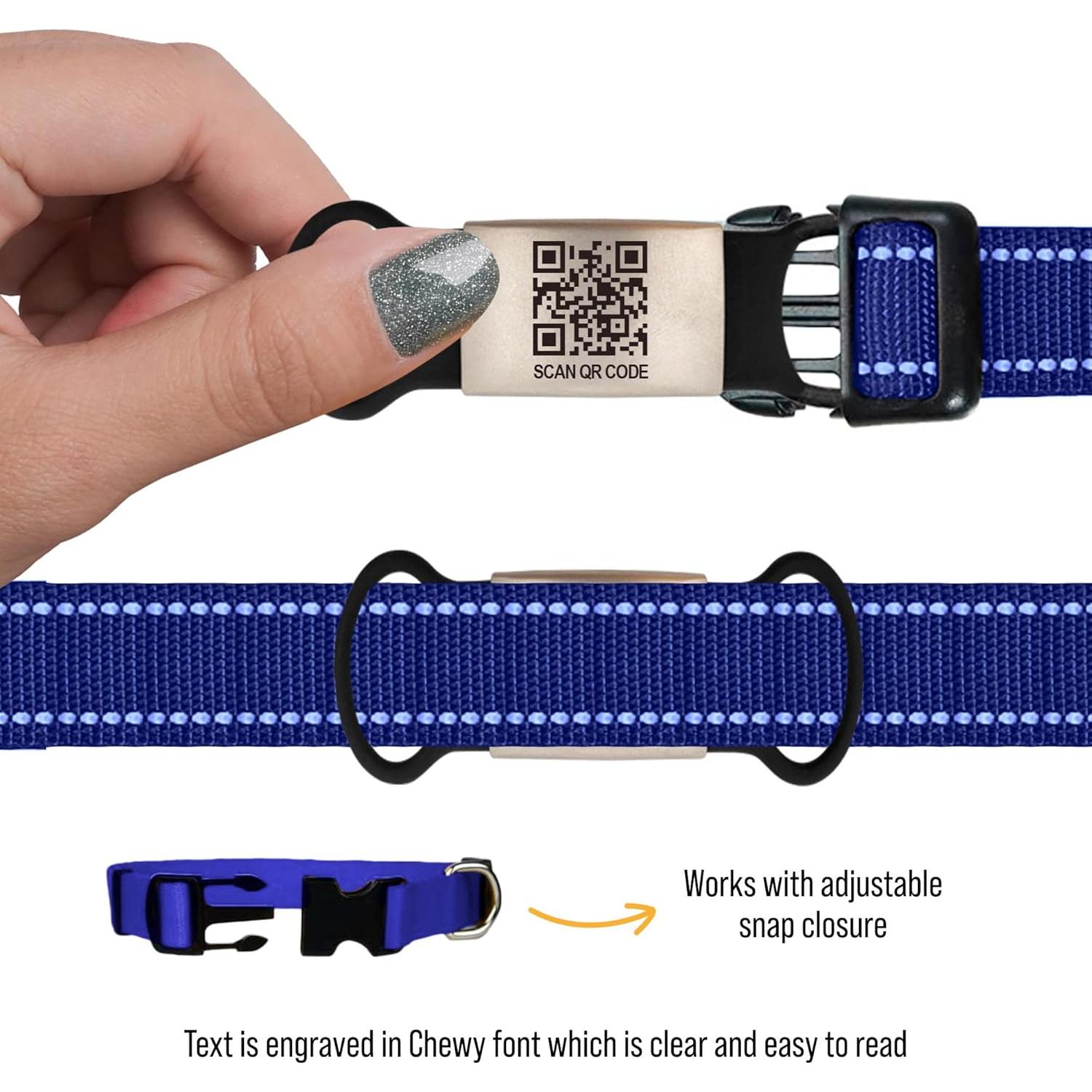 Etiqueta de Mascota QR Inteligente Pawnimals - Acero Inoxidable Grande Azul