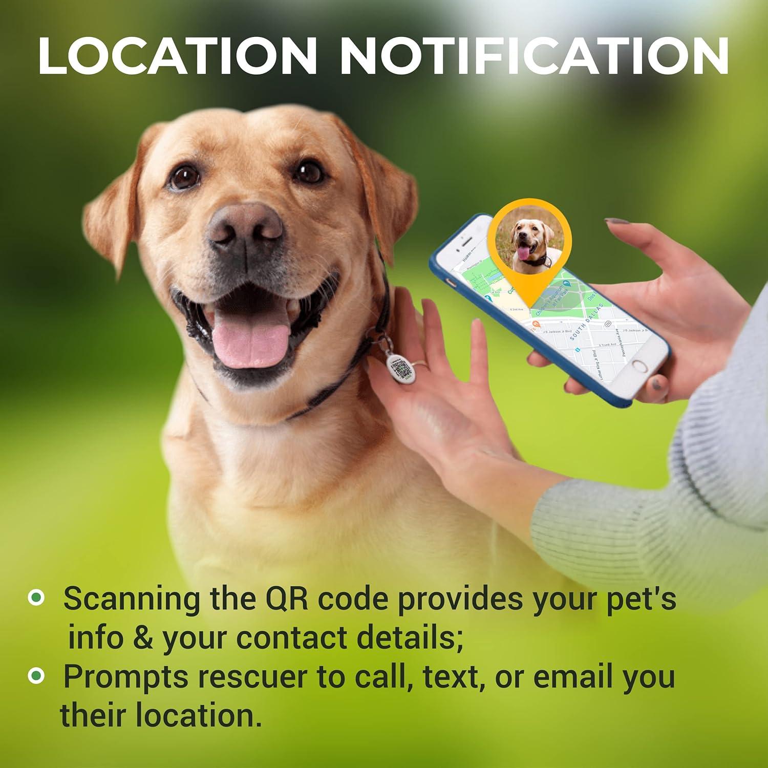 Etiqueta de Identificación QR Personalizada para Perros ROVERTAGS - Grande