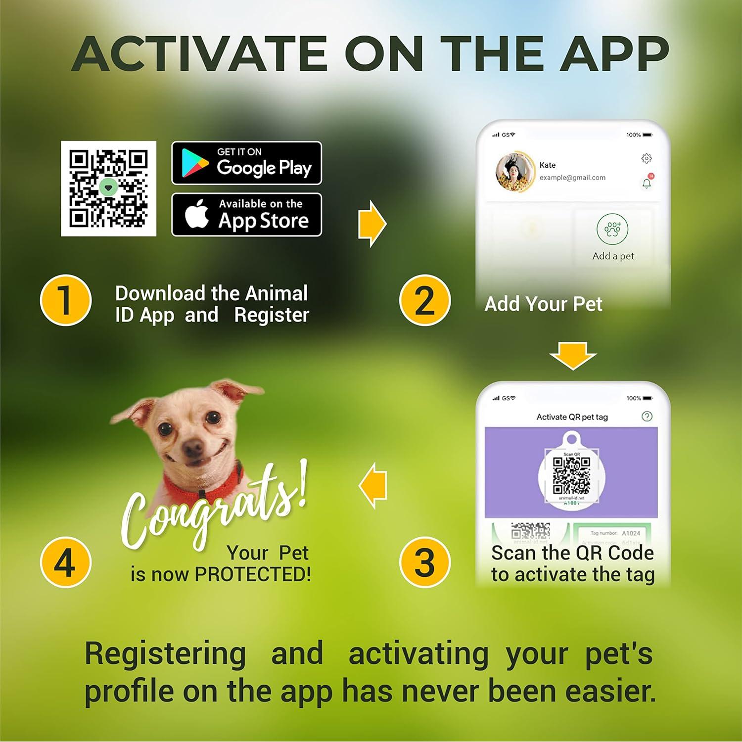 Etiqueta de Identificación QR Personalizada para Perros ROVERTAGS - Grande
