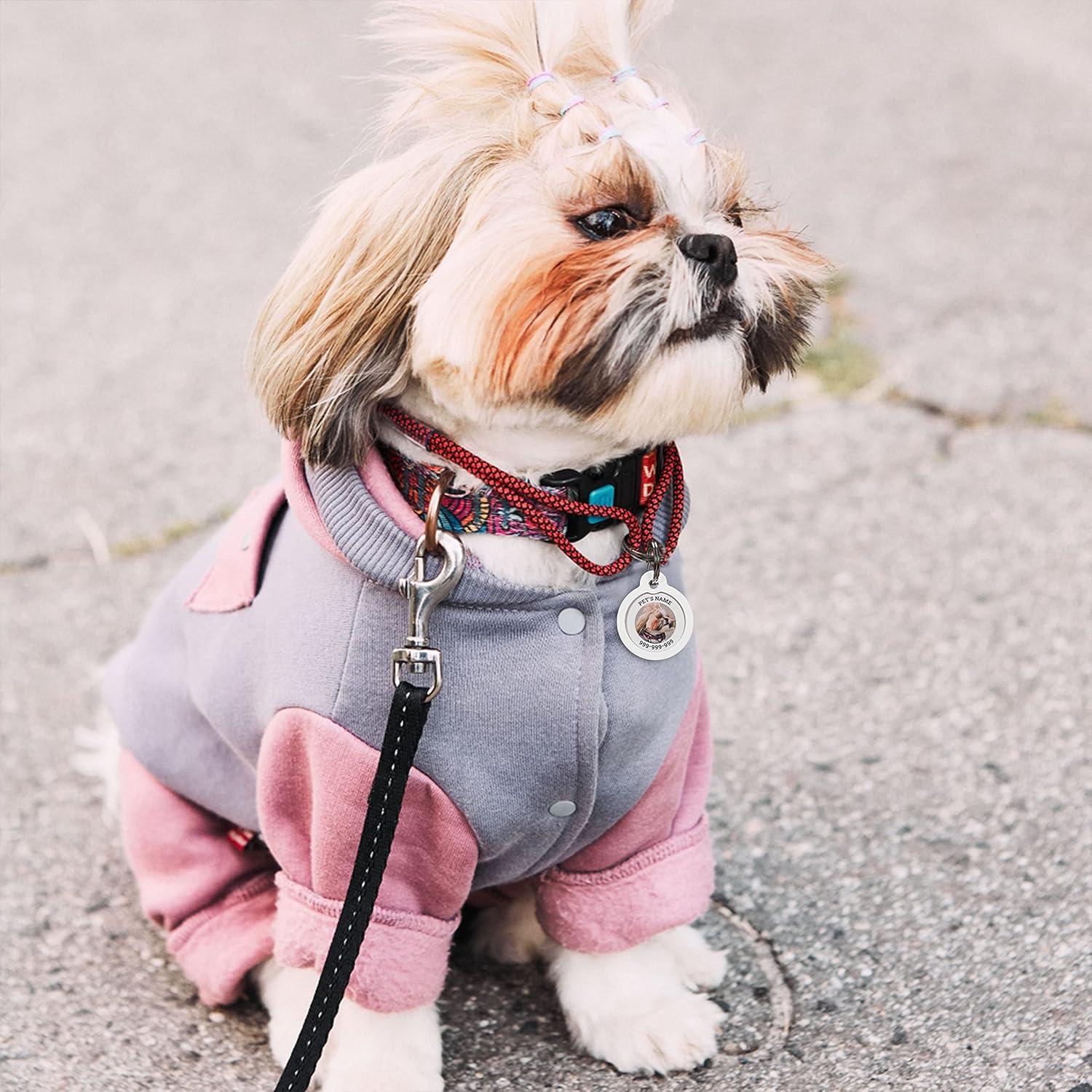 Etiqueta de Identificación QR Personalizada para Perros ROVERTAGS - Grande